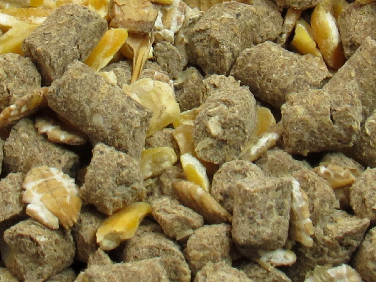 نمای نزدیک محصول