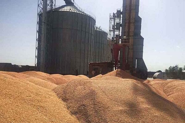 تأمین سهماهه نهاده در شرایط انقباض بانکی؛ آمادگی پشتیبانی امور دام برای تنظیم بازار در فصول پرمصرف