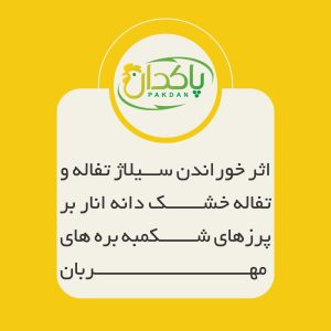 اثر خوراندن سيلاژ تفاله و تفاله خشک دانه انار بر پرزهای شکمبه بره های مهربان