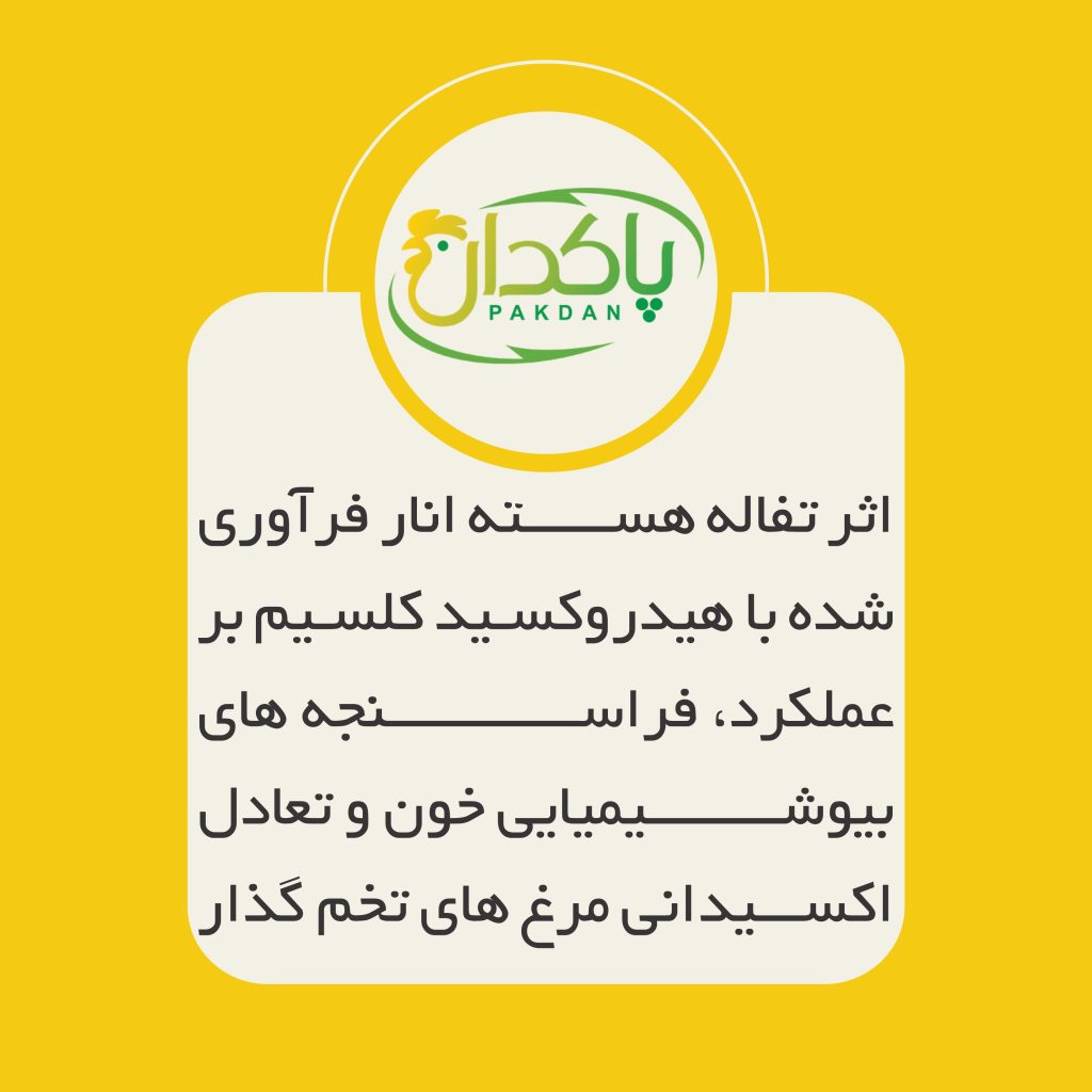اثر تفاله هسته انار فرآوری شده با هیدروکسید کلسیم بر عملکرد، فراسنجه های بیوشیمیایی خون و تعادل اکسیدانی مرغ های تخم گذار