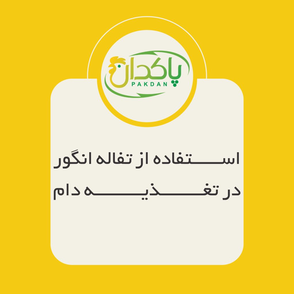 استفاده از تفاله انگور در تغذیه دام