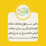 تاثیر سطوح مختلف تفاله گوجه فرنگی بر برخی صفات کیفی تخم مرغ در مرغ های تخم گذار