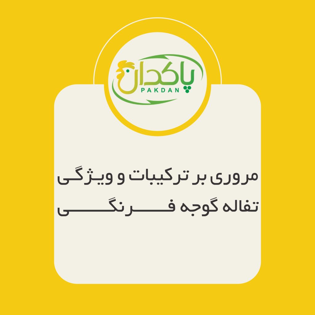مروری بر ترکیبات و ویژگی تفاله گوجه فرنگی