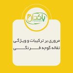 مروری بر ترکیبات و ویژگی تفاله گوجه فرنگی