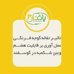 تاثیر تفاله گوجه فرنگی عمل آوری بر قابلیت هضم و pH شکمبه در گوسفند