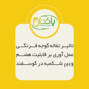 تاثیر تفاله گوجه فرنگی عمل آوری بر قابلیت هضم و pH شکمبه در گوسفند