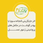 اثر جایگزینی کنجاله سویا با پودر گوشت در مکمل های پروتئینی زنبور عسل