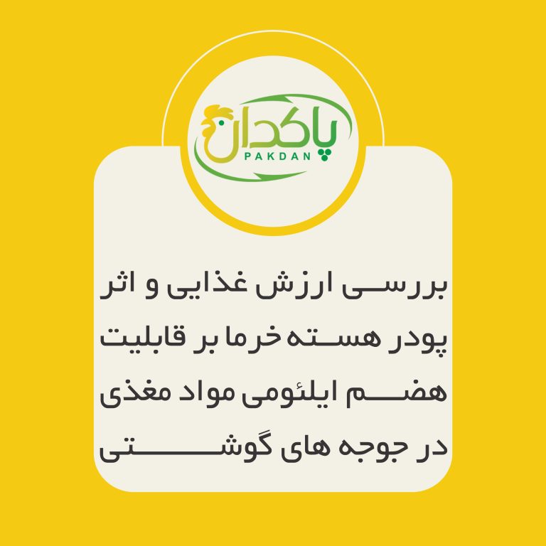 بررسی ارزش غذایی و اثر پودر هسته خرما بر قابلیت هضم ایلئومی مواد مغذی در جوجه های گوشتی