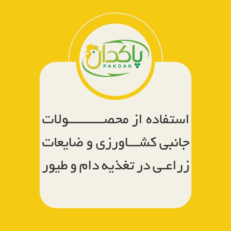 استفاده از محصولات جانبی کشاورزی و ضایعات زراعی در تغذیه دام و طیور