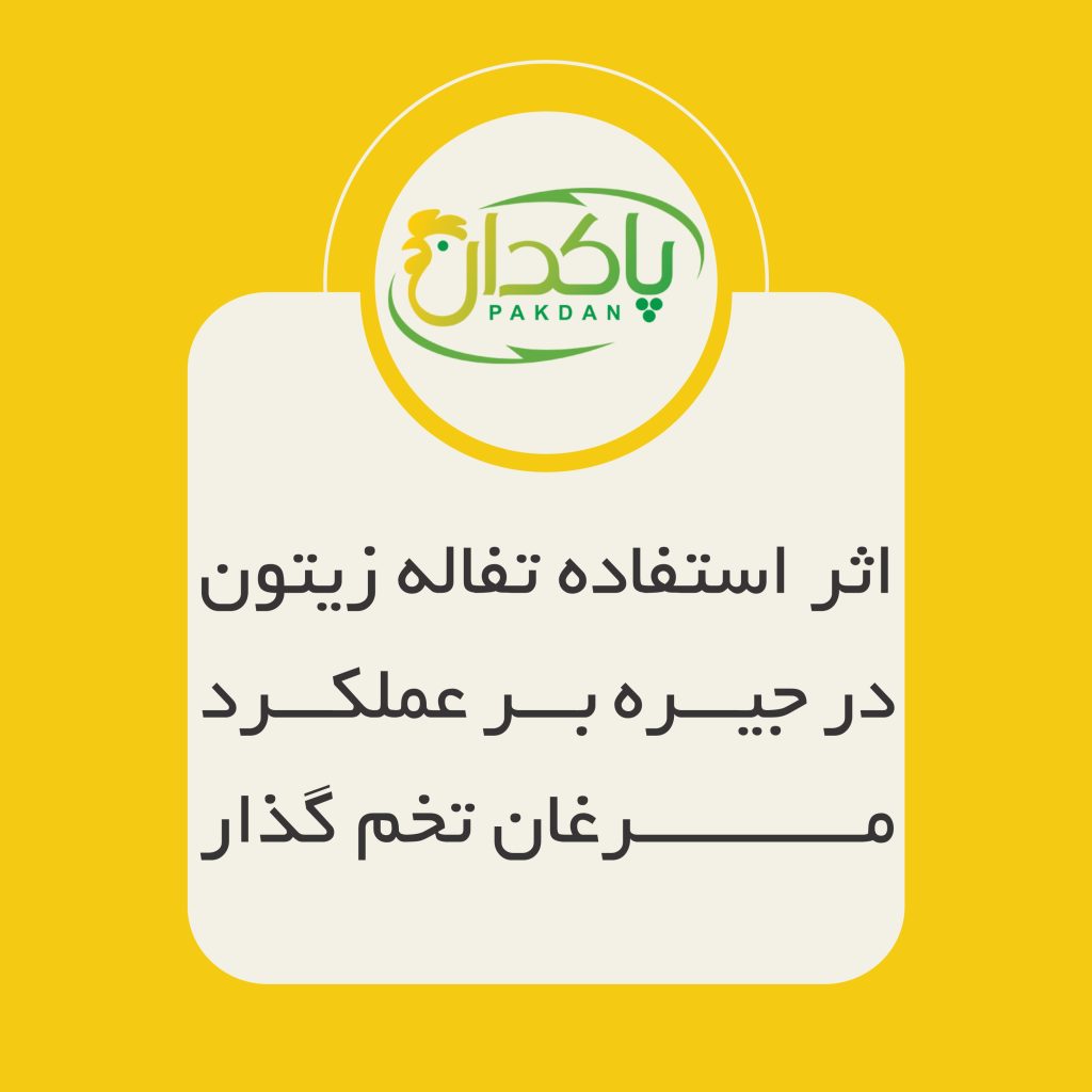 اﺛﺮ اﺳﺘﻔﺎده ﺗﻔﺎﻟﻪ زﯾﺘﻮن در ﺟﯿﺮه ﺑﺮ ﻋﻤﻠﮑﺮد ﻣﺮﻏﺎن ﺗﺨﻤﮕﺬار