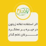 اﺛﺮ اﺳﺘﻔﺎده ﺗﻔﺎﻟﻪ زﯾﺘﻮن در ﺟﯿﺮه ﺑﺮ ﻋﻤﻠﮑﺮد ﻣﺮﻏﺎن ﺗﺨﻤﮕﺬار