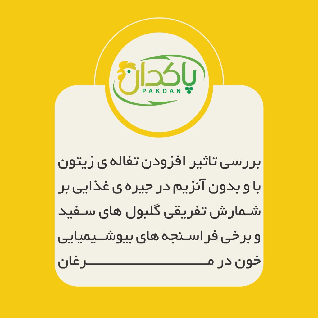 ﺑﺮرﺳﯽ ﺗﺎﺛﯿﺮ اﻓﺰودن ﺗﻔﺎﻟﻪي زﯾﺘﻮن ﺑﺎ و ﺑﺪون آﻧﺰﯾﻢ در ﺟﯿﺮهي ﻏﺬاﯾﯽ ﺑﺮ ﺷﻤﺎرش ﺗﻔﺮﯾﻘﯽ ﮔﻠﺒﻮلﻫﺎي ﺳﻔﯿﺪ و ﺑﺮﺧﯽ ﻓﺮاﺳﻨﺠﻪﻫﺎي ﺑﯿﻮﺷﯿﻤﯿﺎﯾﯽ ﺧﻮن در ﻣﺮﻏﺎن ﺗﺨﻢﮔﺬار