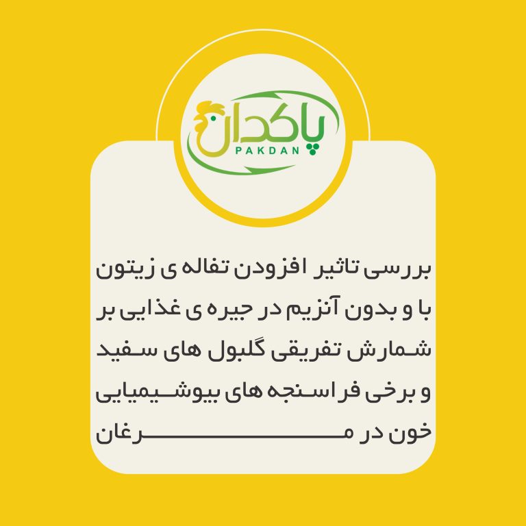 ﺑﺮرﺳﯽ ﺗﺎﺛﯿﺮ اﻓﺰودن ﺗﻔﺎﻟﻪي زﯾﺘﻮن ﺑﺎ و ﺑﺪون آﻧﺰﯾﻢ در ﺟﯿﺮهي ﻏﺬاﯾﯽ ﺑﺮ ﺷﻤﺎرش ﺗﻔﺮﯾﻘﯽ ﮔﻠﺒﻮلﻫﺎي ﺳﻔﯿﺪ و ﺑﺮﺧﯽ ﻓﺮاﺳﻨﺠﻪﻫﺎي ﺑﯿﻮﺷﯿﻤﯿﺎﯾﯽ ﺧﻮن در ﻣﺮﻏﺎن ﺗﺨﻢﮔﺬار