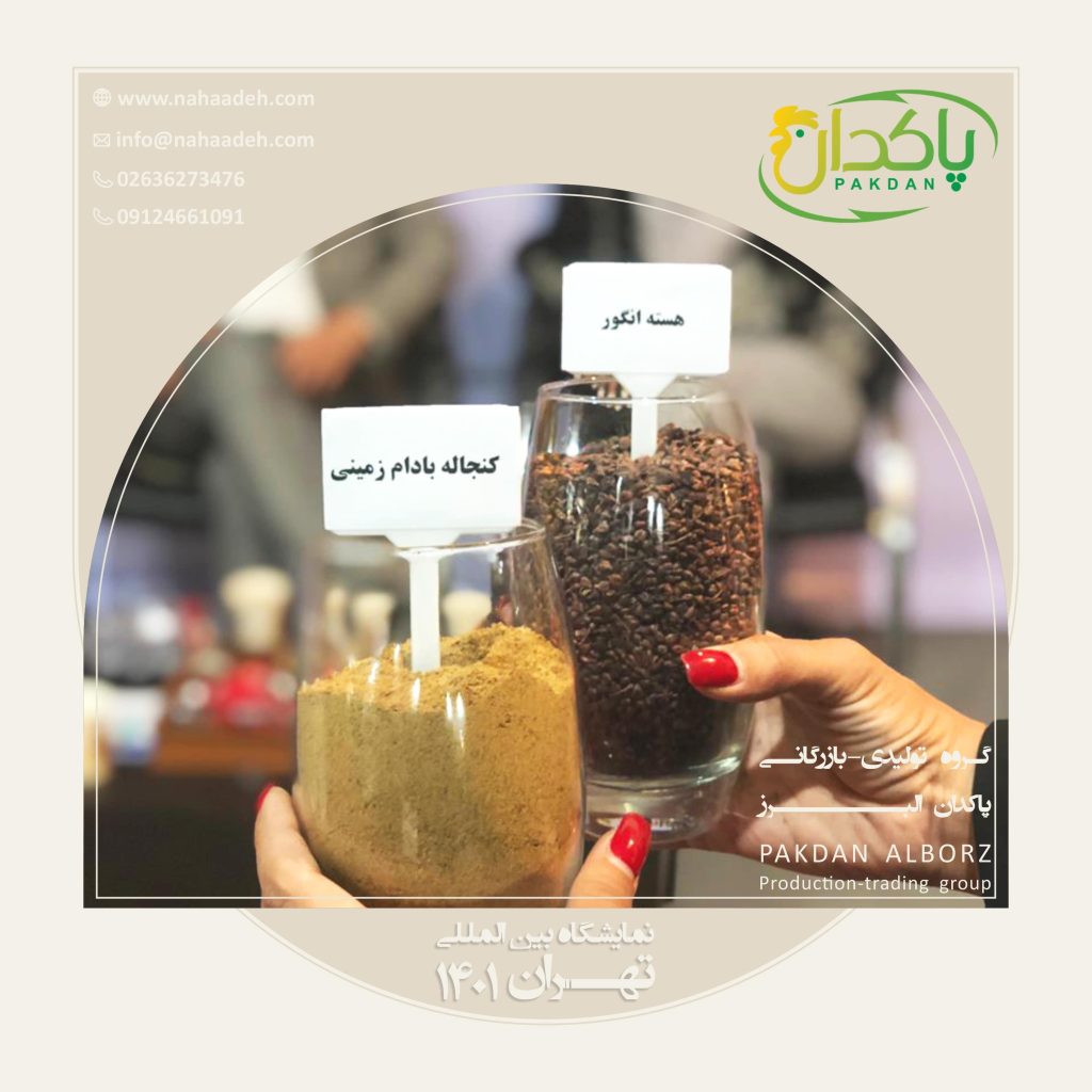 ارائه محصولات پاکدان البرز در نمایشگاه