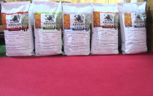 معرفی محصول جدید پاکدان البرز