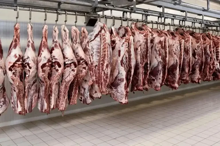 چشمانداز روشن بازار گوشت در پاییز؛ وفور عرضه و پایداری قیمتها با اتکا به تولید داخلی