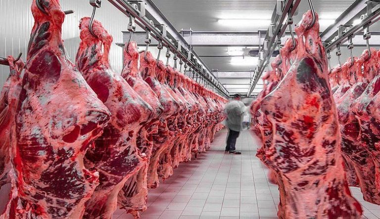 افزایش هزینههای حملونقل جهانی و کاهش صرفه اقتصادی واردات گوشت قرمز