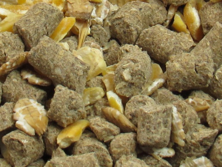 کنسانتره آجیلی پرواری ممتاز