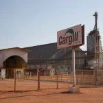 سرمایه‌گذاری کلان Cargill در زنجیره تأمین طیور با تکیه بر هوش مصنوعی