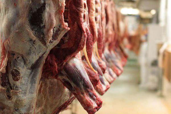 زنگ خطر انباشت دام سبک در واحدهای پرورشی ؛ افت محسوس واردات گوشت قرمز