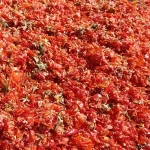 پودر گوجه‌فرنگی در تغذیه دام