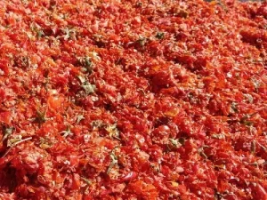 پودر گوجهفرنگی در تغذیه دام پودر گوجهفرنگی در تغذیه دام