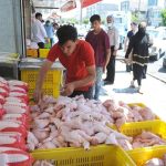 چراغ سبز دولت به مرغداران؛ ازسرگیری خرید حمایتی برای تعادل‌بخشی به بازار