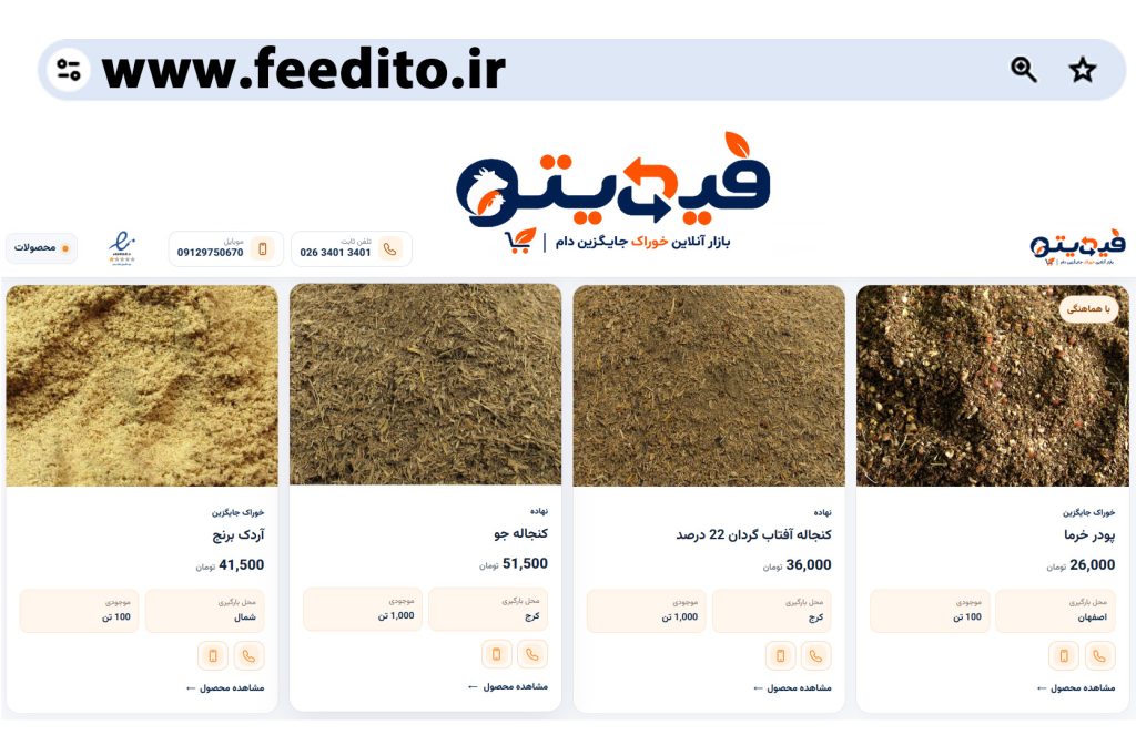 راه اندازی فروشگاه آنلاین پاکدان البرز