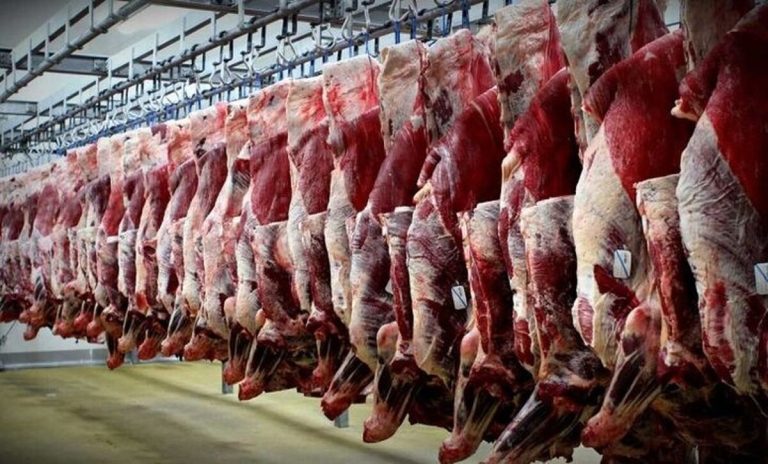 وضعیت بازار گوشت قرمز؛ تقاضای سالانه ۱.۱ میلیون تن و ثبات عرضه در کشور